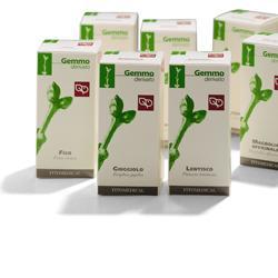 AGNOCASTO MACERATO GLICERICO 50 ML - Dolomiti e Natura