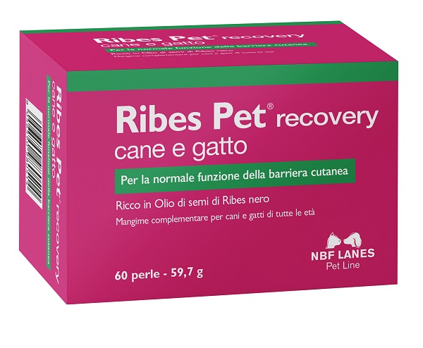RIBES PET RECOVERY BLISTER 60 PERLE - Dolomiti e Natura