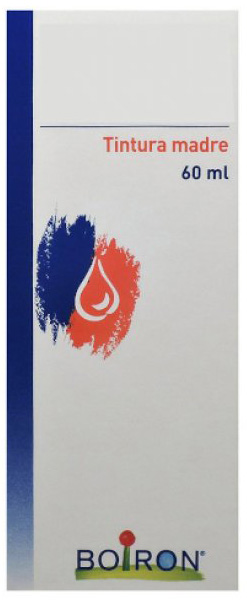 THUYA OCCIDENTALIS TINTURA MADRE 60 ML - Dolomiti e Natura