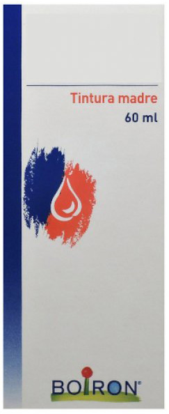 TILIA TOMENTOSA TINTURA MADRE 60 ML - Dolomiti e Natura