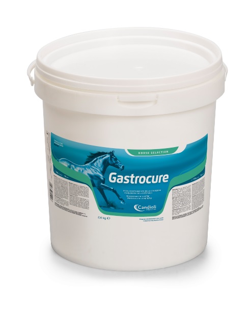 GASTROCURE SECCHIELLO 2,6 KG - Dolomiti e Natura