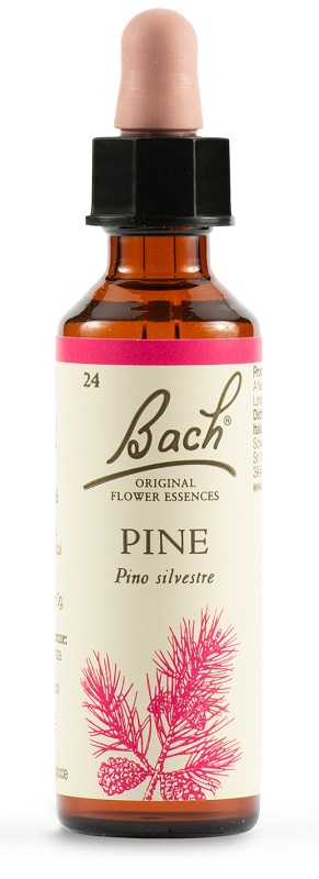 PINE BACH ORIG 20 ML - Dolomiti e Natura