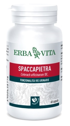 SPACCAPIETRA 60 CAPSULE - Dolomiti e Natura