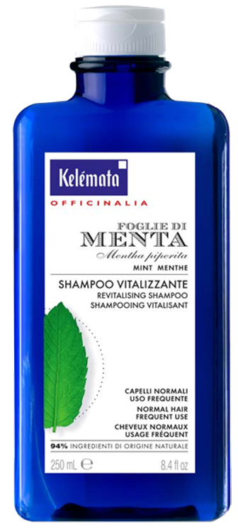 SHAMPOO MENTA 250 ML - Dolomiti e Natura